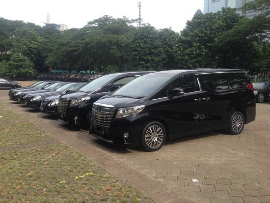 Berburu Toyota Alphard  Bekas  Taksi  Seberapa Menarik Dimiliki 